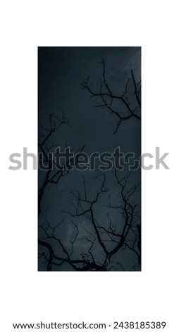 A dry tree looks creepy and scary in the night,a fearsome picture 