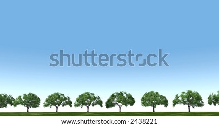 trees in the field on a background clear sky in a summer season