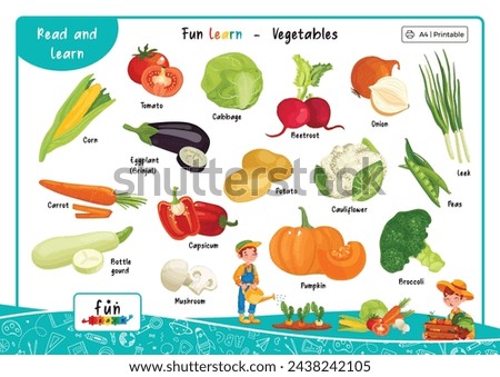 Fun Learn Education Vegetables Cute Word Picture Dictionary Vocabulary. A4 Printable Vector Illustration. Poster worksheet clip art preschool kindergarten kids improve basic read learn skills