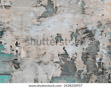 wooden walls affected by termites