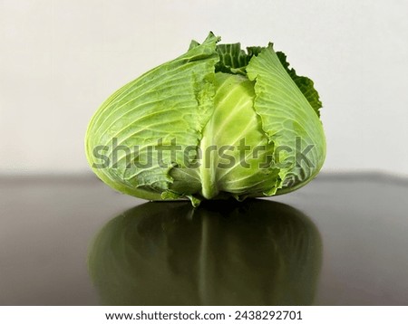 Fresh green cabbage, water droplets
