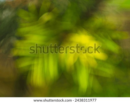 Bokeh leaf background with fresh green color Royalty-Free Stock Photo #2438311977