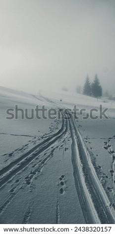 Ski tracks on the winter meadow
