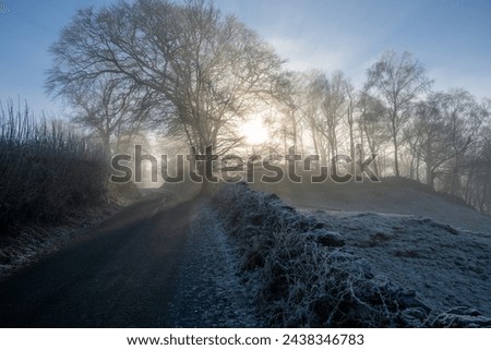 A serene winter morning, the road blanketed in glistening frost, painting a picture of tranquility and peace.
