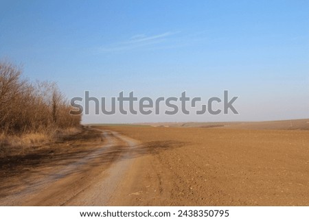 A dirt road in a desert