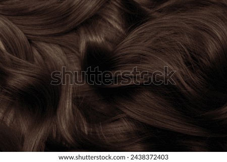 Brown hair close-up as a background. Women's long brown hair. Beautifully styled wavy shiny curls. Hair coloring. Hairdressing procedures, extension. Royalty-Free Stock Photo #2438372403