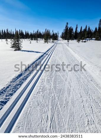 Newly prepared ski tracks for classic skiing and for skate. The picture was taken a windless winter day in the Swedish mountains with three minus degrees Celsius. Perfect ski tracks!