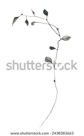 Watercolor painted floral artistic green, gray colour wild branch with small leaves. Hand drawn illustration. Traced vector watercolour clipart drawing.