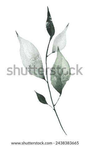 Watercolor painted floral artistic green, gray colour wild branch. Hand drawn illustration. Traced vector watercolour clipart drawing.