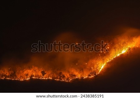 Orange forest fire rages in the mountains at night in Chiang Mai. It causes enormous amounts of toxic dust and smoke. Fires continue to burn, destroying forests and wildlife during the summer.