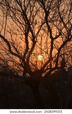 Morning image is a sunrise 