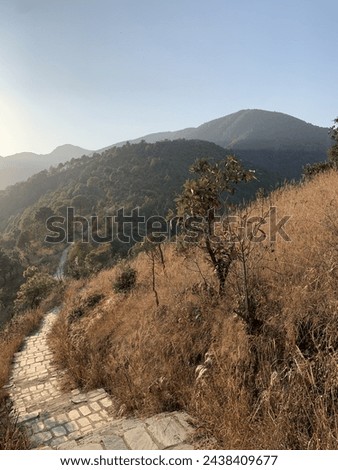 Kathmandu valley hike - The Champadevi trail makes for an excellent day hike and is perfect for outdoor enthusiasts and nature lovers alike. 
