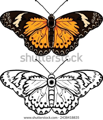 orange and brown butterfly illustration. Perfect for art, t-shirts, cards, prints, picture books, coloring books, wallpapers, prints, etc.
