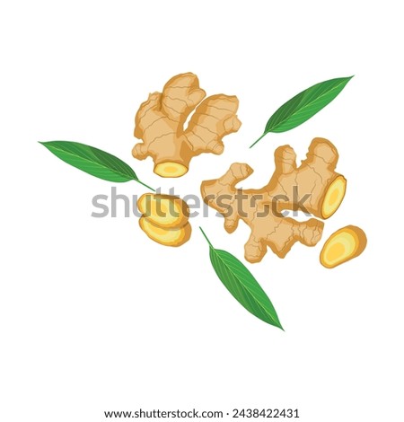 Vector illustration set of ginger root in cartoon flat style. Ginger rootcollection set. Artistic style colorful aromatic. Herbal spice. Detox food ingredient, natural herb plant, whole, sliced Royalty-Free Stock Photo #2438422431