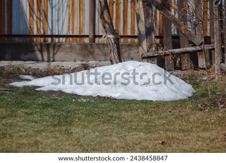 a small pile of snow on a green lawn against the background of a rusty fence Royalty-Free Stock Photo #2438458847