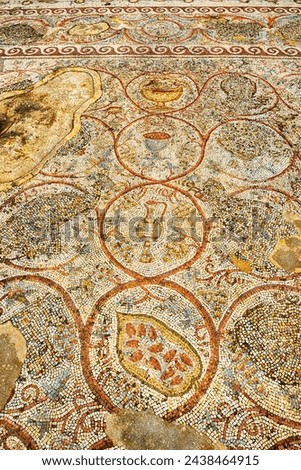 Large panoramic view of Mosaic floor of a Byzantine church. Khirbet Beit Lei or Beth Loya at Judean lowlands, Israel Royalty-Free Stock Photo #2438464915