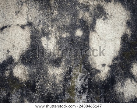 cracked and mossy wall background, polished gray concrete grunge textured wall, rough wall texture background, damaged dirty mossy wall surface Royalty-Free Stock Photo #2438465147