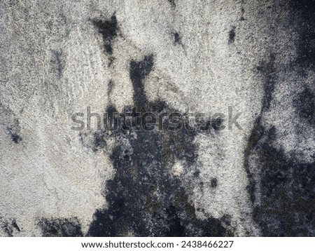cracked and mossy wall background, polished gray concrete grunge textured wall, rough wall texture background, damaged dirty mossy wall surface Royalty-Free Stock Photo #2438466227