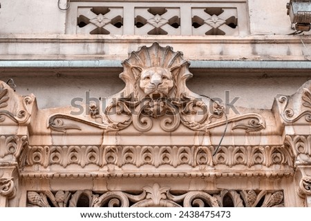 European architectural detail with lion head, decorative gate relief on the exterior of a European building.