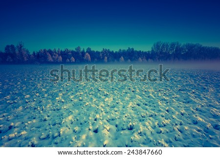 vintage photo of winter field landscape
