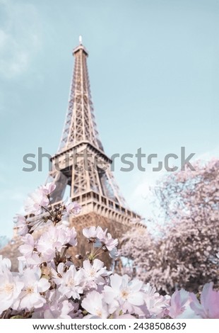Eiffel tower. Blooming sakura tree