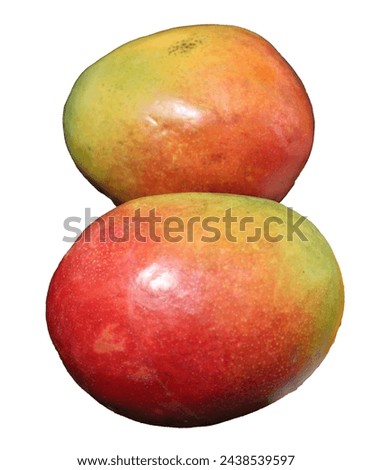 2 Mango on a white background. Stock photo of sweet fruit in good quality.