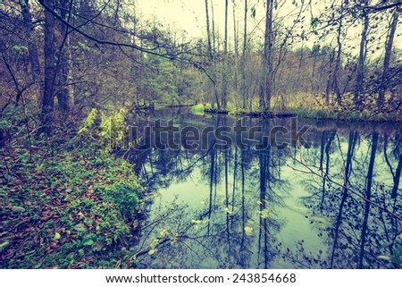Vintage photo of river in autumnal forest