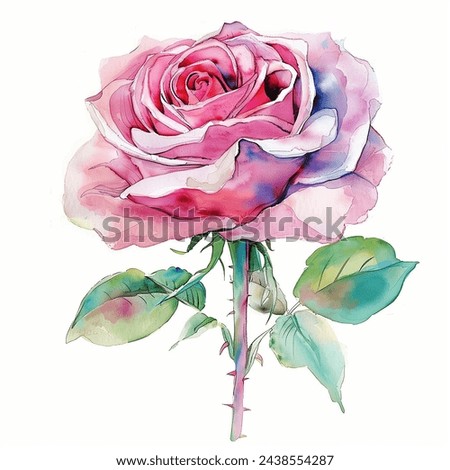 Pink Single Rose Flower isolated watercolor illustration painting botanical art transparent white background greeting card stationary wedding bridal home decor