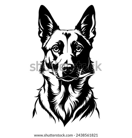 Portrait of a Belgian Malinois Dog Vector isolated on white background, Dog Silhouettes. Royalty-Free Stock Photo #2438561821
