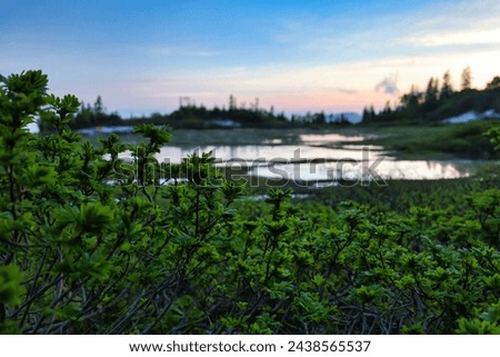 Pond of Mt. Hiuchi, Japan's 100 Famous Mountains Royalty-Free Stock Photo #2438565537