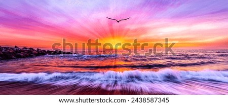 An Ocean Seascape With Bird Silhouette Soaring Against A Colorful Sunset Sky Banner Header