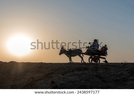 Horse Carriage Silhouette pictures , a horse with buggy in the desert 