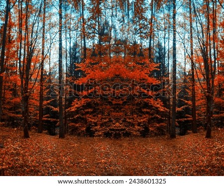 Autumn. Fall scene. Beautiful Autumnal park. Beauty nature scene. Autumn Trees and Leaves, Autumn Fall. Autumnal Park. Autumn Trees and Leaves, 