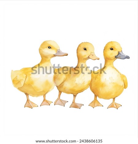 Cute Happy Yellow Easter Baby Ducks Family Line isolated watercolor illustration painting art transparent white background greeting card stationary holiday easter gift egg decoration paper stationery