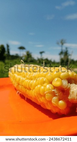 in this picture is corn which tastes sweet, in my area this type is called sweet corn. Processed by boiling, it tastes sweet and sticky. It can also be prepared by grilling it and smearing it with mar