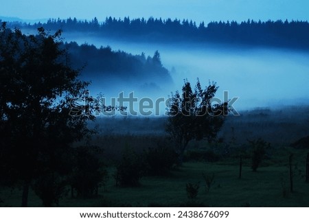 A mesmerizing panorama of a foggy, blueish forest. The misty ambiance adds an enchanting allure to the dense woodland, creating a dreamy and mysterious atmosphere.  Royalty-Free Stock Photo #2438676099