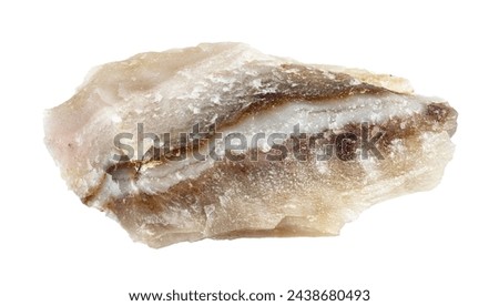 specimen of natural raw shaitan perelivte rock cutout on white background