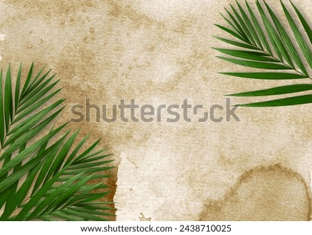 Palm on coffee paper , palm sunday , easter related  Royalty-Free Stock Photo #2438710025