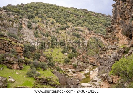 Panorama landscape of rock formations of Tasyaran Valley Natural Park canyon ( Tasyaran Vadisi) . Located in Usak (Usak), Turkey