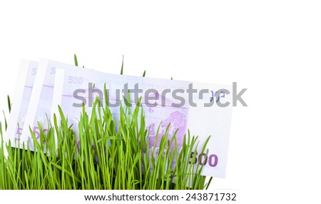 Growing Euro money cash in green grass, isolated on white