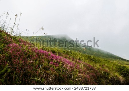 View of colorful mountains, meadow, and valley with clouds. Ski resort. Sharr Mountains, Popova Shapka.
