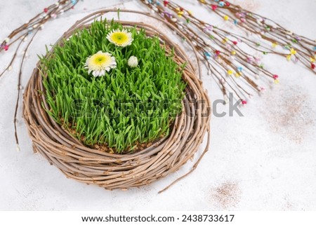 Traditional Azerbaijan holiday Novruz background with green semeni.