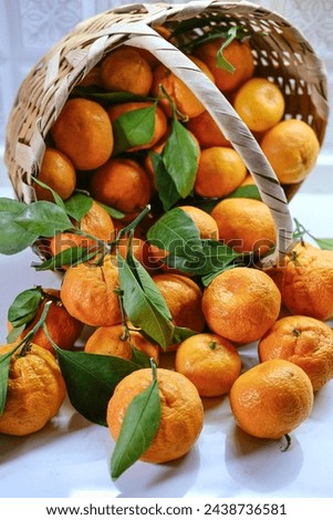 Witness the vibrant chaos as oranges cascade from a tipped basket, capturing the fleeting beauty of a citrus mishap frozen in time. Ideal for fruit enthusiasts and dynamic still life enthusiasts. Royalty-Free Stock Photo #2438736581