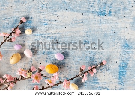Blue background with white and yellow eastereggs and pink cherryblossoms Royalty-Free Stock Photo #2438756981