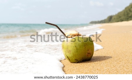 Coconut cocktail on a sandy beach by the sea
