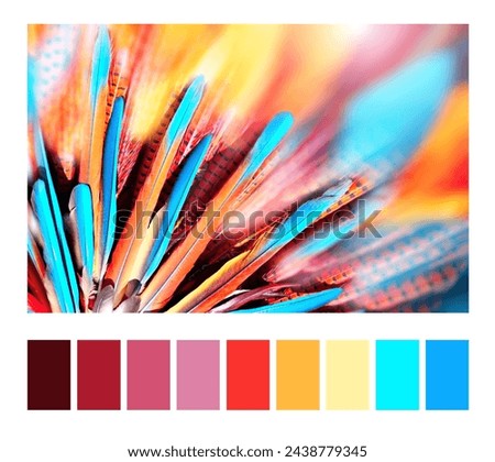 Color matching palette with colour swatches. Multi-colored feathers in native american indian chief headdress. Horizontal or vertical eye-catching banner with colourful blue, orange and red feathers Royalty-Free Stock Photo #2438779345