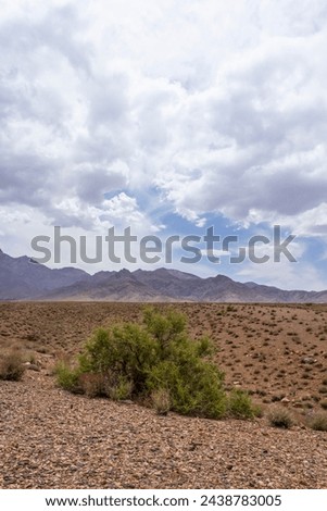 Landscape in the desert of Khezrabad, Yazd, Iran with perfect details as a background