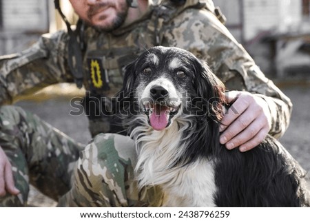 Ukrainian soldier stroking stray dog outdoors, closeup
