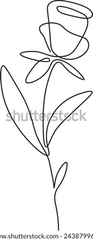 Rose Flower Outline Vector Illustration