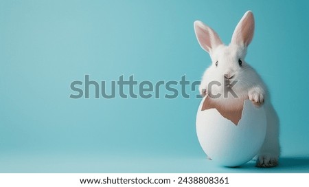 Easter rabbit, cute white bunny coming out of an opened egg on empty light blue background with copy space